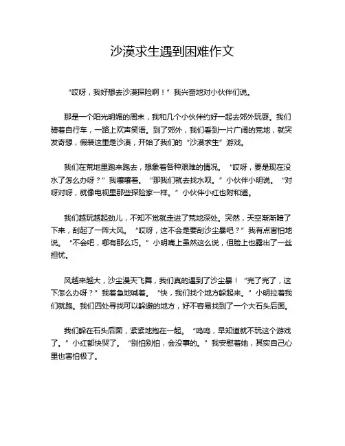 沙漠求生遇到困难作文
