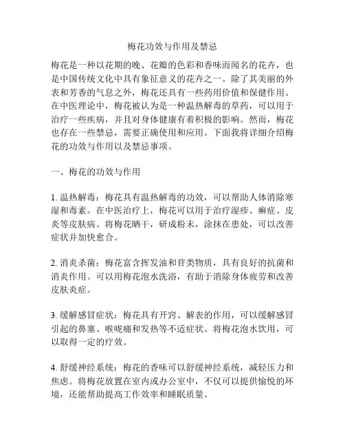 梅花功效与作用及禁忌