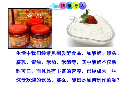 苏教版八年生物下册第二十三章第一节 源远流长的发酵技术 20PPT