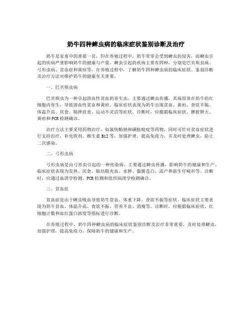 奶牛四种蜱虫病的临床症状鉴别诊断及治疗