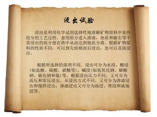 浸出试验