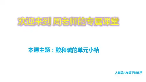 人教版九年级下册化学  第十单元 酸和碱 单元复习课件(41页ppt)