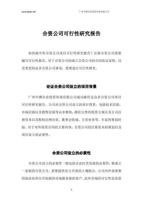 合资公司可行性研究报告