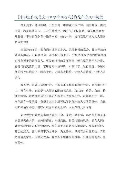 [小学生作文范文600字寒风梅花]梅花在寒风中绽放