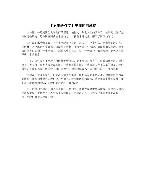 【五年级作文】美丽的白洋淀