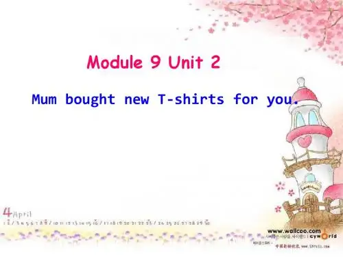 新外研版五年级英语下册M9U2 Mum bought new T-shirts for you课件