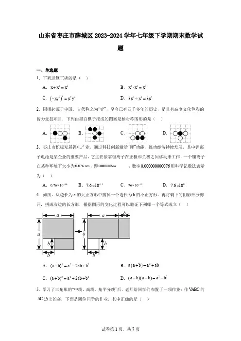 山东省枣庄市薛城区2023-2024学年七年级下学期期末数学试题