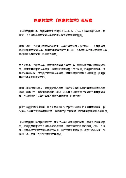 迷途的羔羊 《迷途的羔羊》观后感