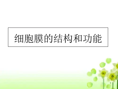 人教版高中生物必修1第三章第1节《细胞膜的结构和功能》ppt课件