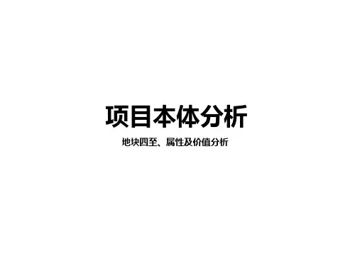 项目本体属性分析