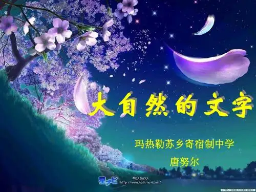 《大自然的文字》教学课件_