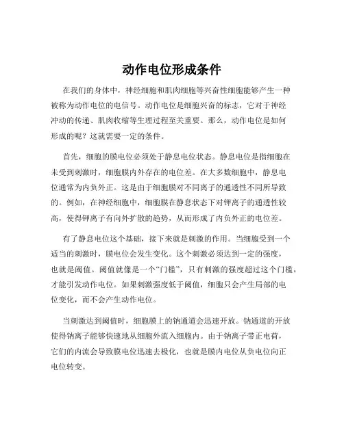 动作电位形成条件
