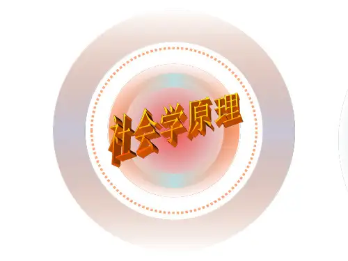 社会学概论课件PPT课件