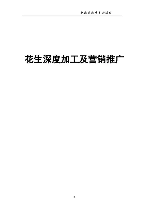 花生深加工及营销推广项目计划书