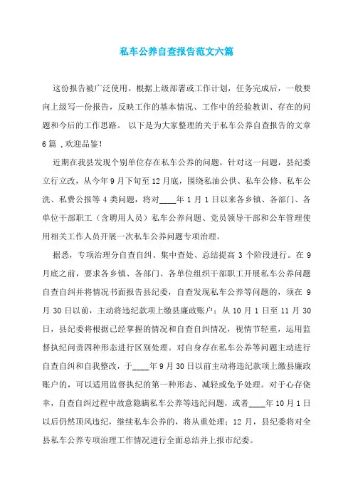 私车公养自查报告范文六篇