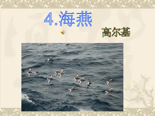 人教部编版九年级语文下册课件：4.海燕 (共16张PPT)