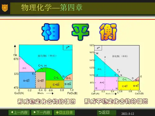 物理化学课件第4章_相平衡
