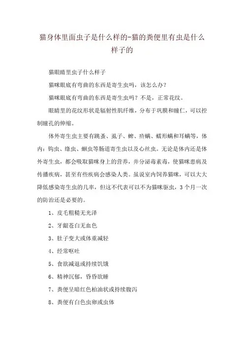 猫身体里面虫子是什么样的-猫的粪便里有虫是什么样子的
