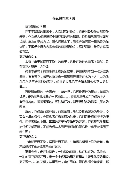 荷花赞作文7篇