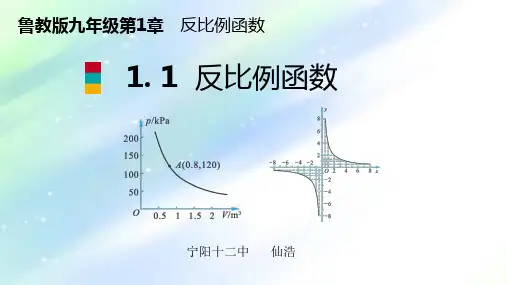 鲁教版九年级数学上册-第1章-反比例函数-1.1-反比例函数-课件(共20张PPT)