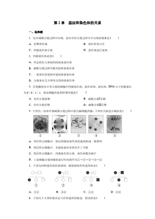最新人教版高中生物必修2 第2章 基因和染色体的关系精练检测题及答案