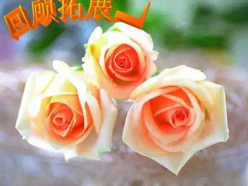 人教版五年级语文下册第一单元口语交际与习作课件