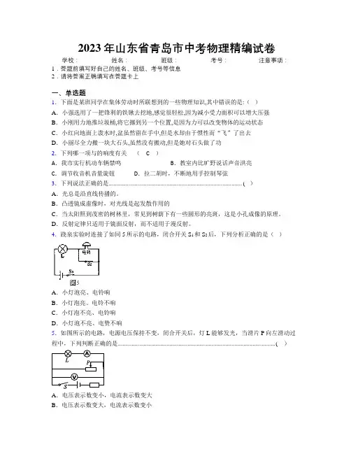 2023年山东省青岛市中考物理精编试卷及解析