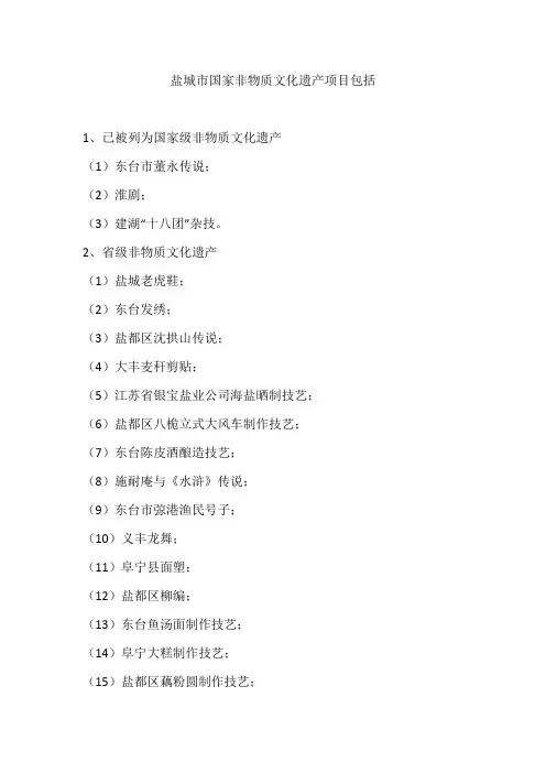 盐城市国家非物质文化遗产项目包括
