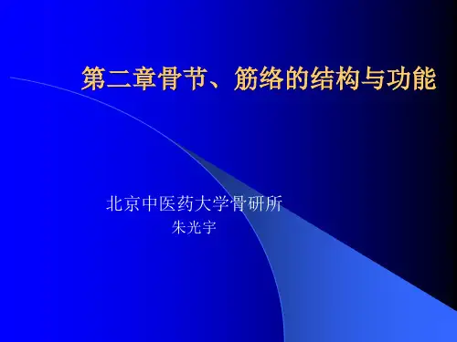 骨的外形和结构PPT课件