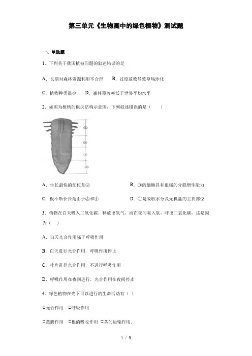 人教版生物七年级上第三单元《生物圈中的绿色植物》测试题(含答案)