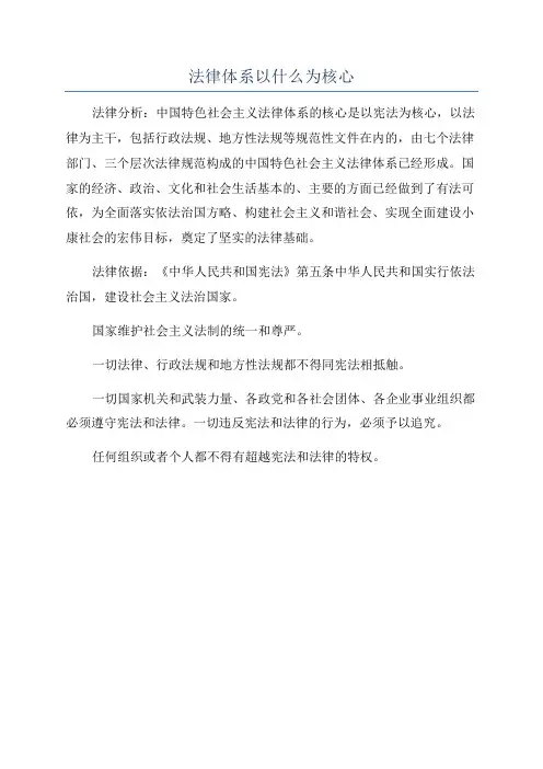 法律体系以什么为核心