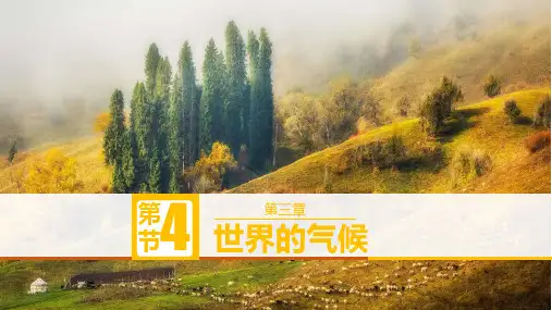 七年级地理上学期人教版(2024)4.4《世界的气候》课件