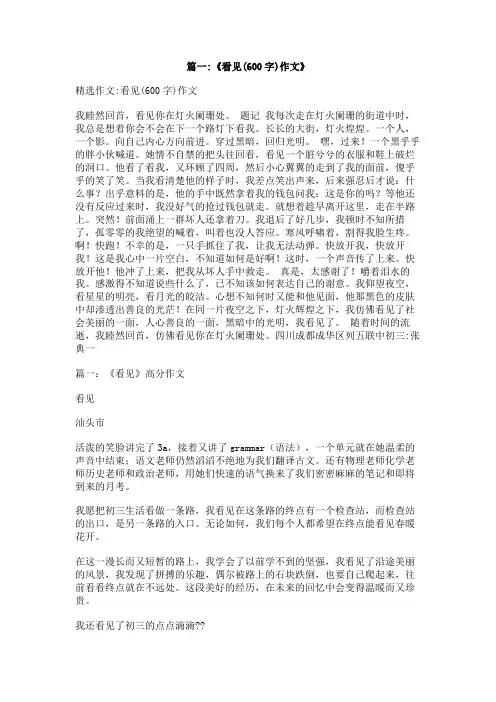 我看见——600作文