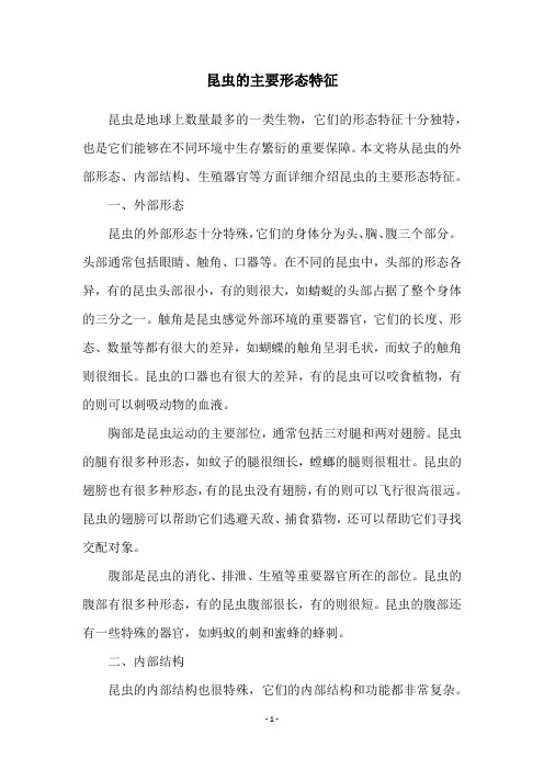 昆虫的主要形态特征