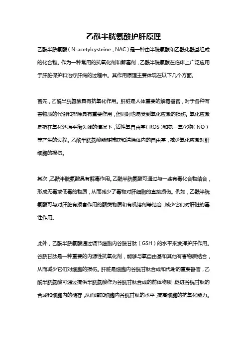 乙酰半胱氨酸护肝原理