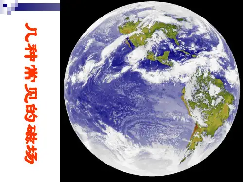 3.3几种常见的磁场.ppt优秀课件