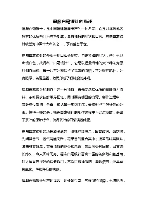 福鼎白毫银针的描述
