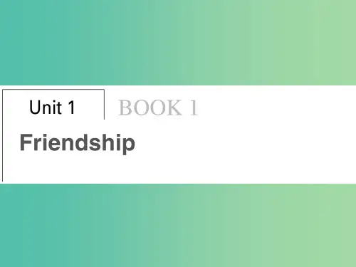 高考英语总复习 Unit 1 Friendship课件 新人教版必修1 (3)