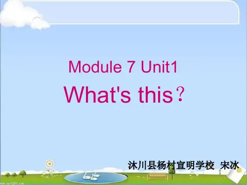 外研三年级起点三年级上册《Module 7Unit 1 What's this》PPT课件 (2)