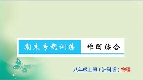期末专题训练 作图综合沪科版八级物理(上册)教用习题教用课件PPT