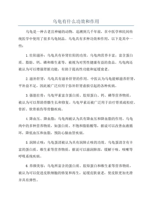 乌龟有什么功效和作用