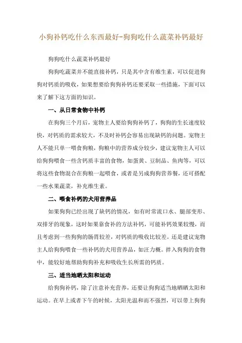 小狗补钙吃什么东西最好-狗狗吃什么蔬菜补钙最好