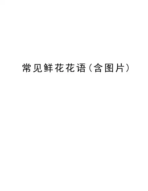 常见鲜花花语(含图片)知识讲解