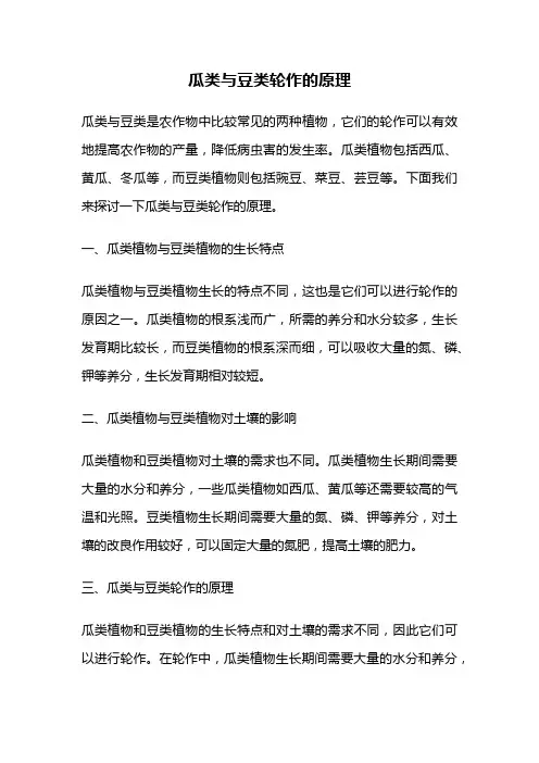 瓜类与豆类轮作的原理