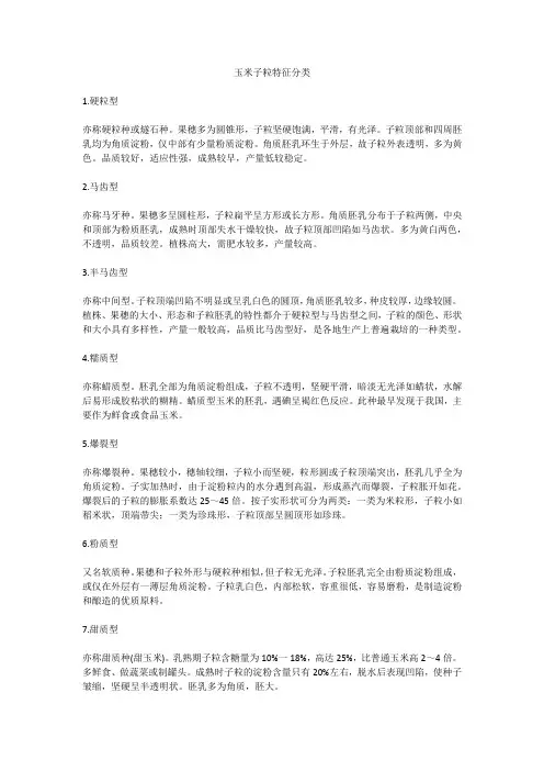 玉米子粒特征分类