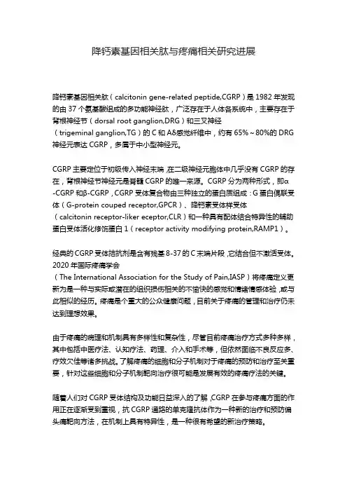 降钙素基因相关肽与疼痛相关研究进展