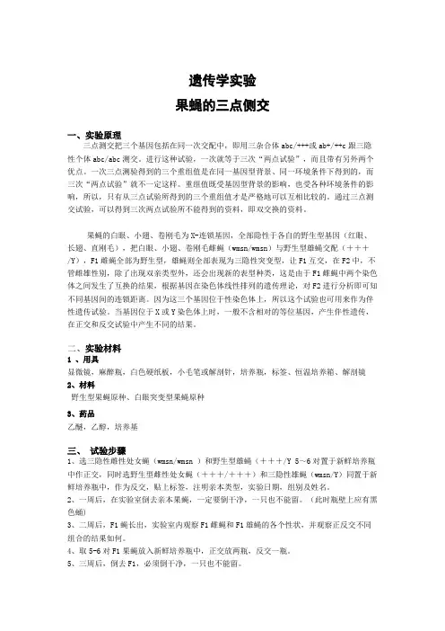 果蝇的三点侧交的实验报告