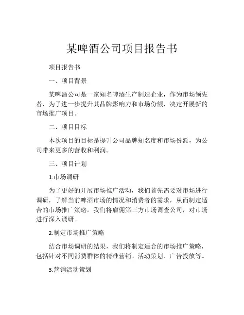 某啤酒公司项目报告书