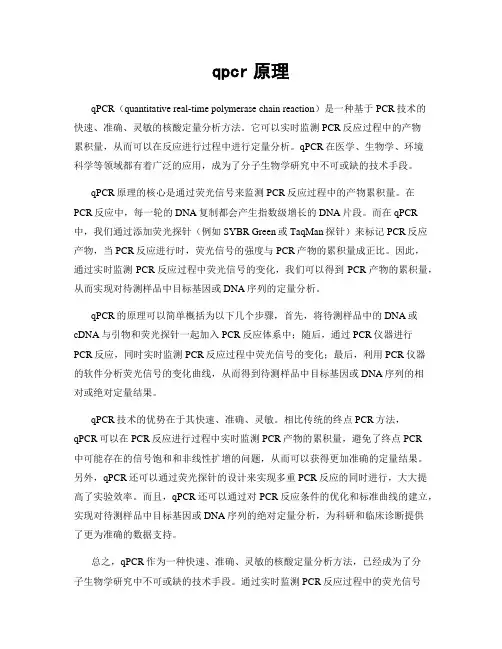 qpcr原理