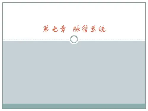 中职《人体解剖学》PPT第7章  脉管系统